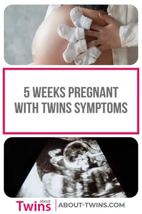 5 Weeks Pregnant With Twins Symptoms Belly Ultrasound About Twins
