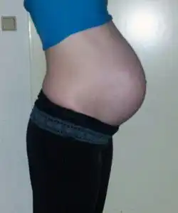 twin pregnancy belly