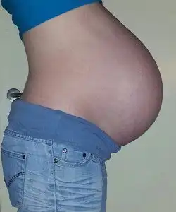 twin pregnancy belly