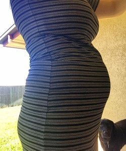 twin pregnancy belly