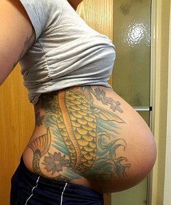 twin pregnancy belly