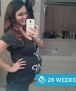 twin pregnancy belly