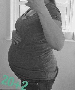 twin pregnancy belly