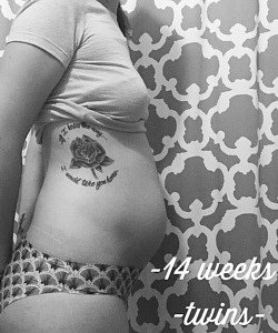 14 week pregnant with twins