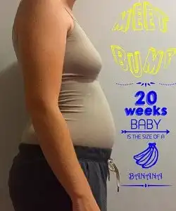 twin pregnancy belly week by week