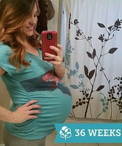 twin pregnancy belly