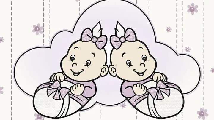 twin baby shower invitation