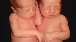 Identical twin girl babies sleeping while holding hands