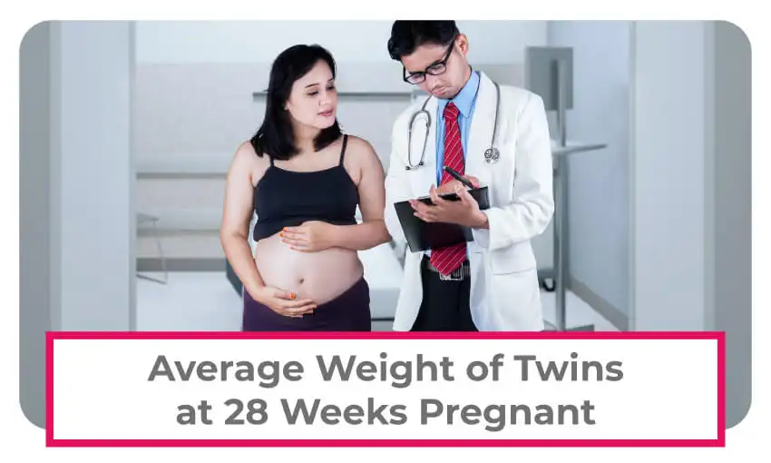 Average weight of twins at 28 weeks pregnant. 