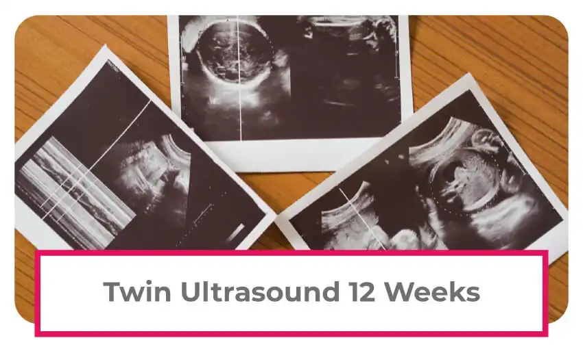 twin ultrasound at 12 weeks. 