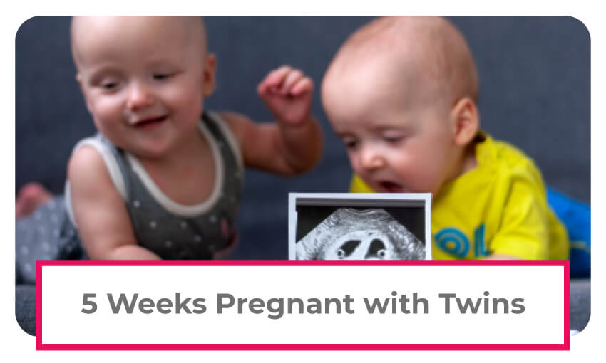 information on being 5 weeks pregnant with twins. 