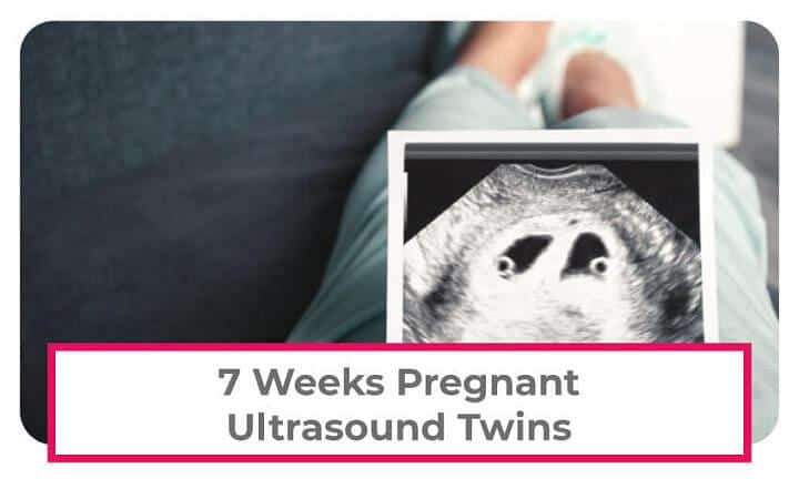 7 Weeks Pregnant With Twins Symptoms Belly And Ultrasound Pictures