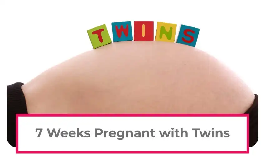 Information on being 7 weeks pregnant with twins