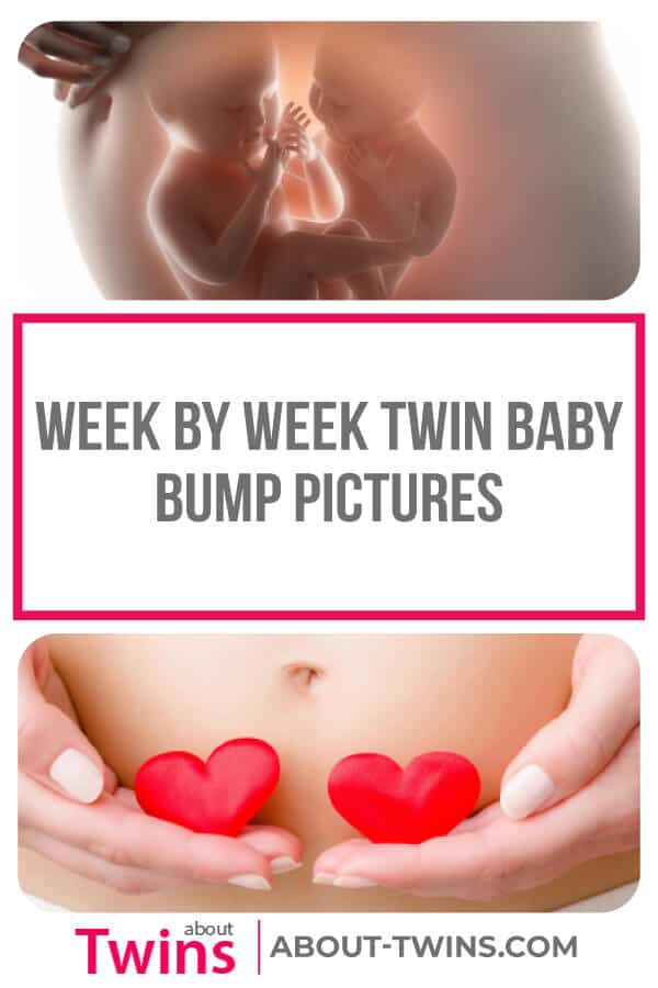 stages of twin pregnancy week by week