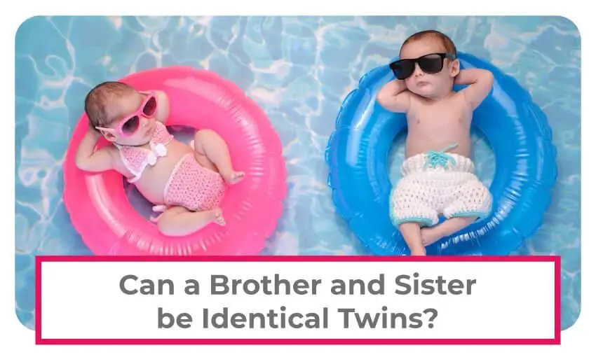 can a brother and sister be identical twins? 