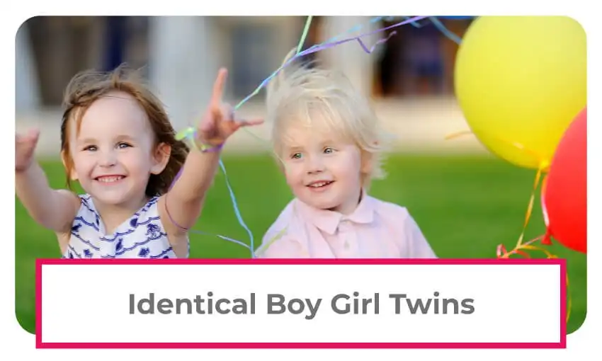 a collection of identical boy girl twin information. 