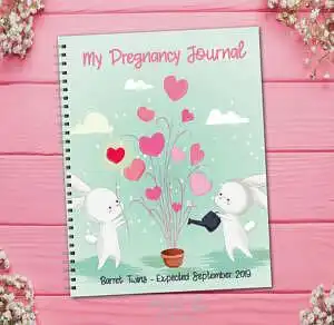 twin pregnancy journal book with bunnies