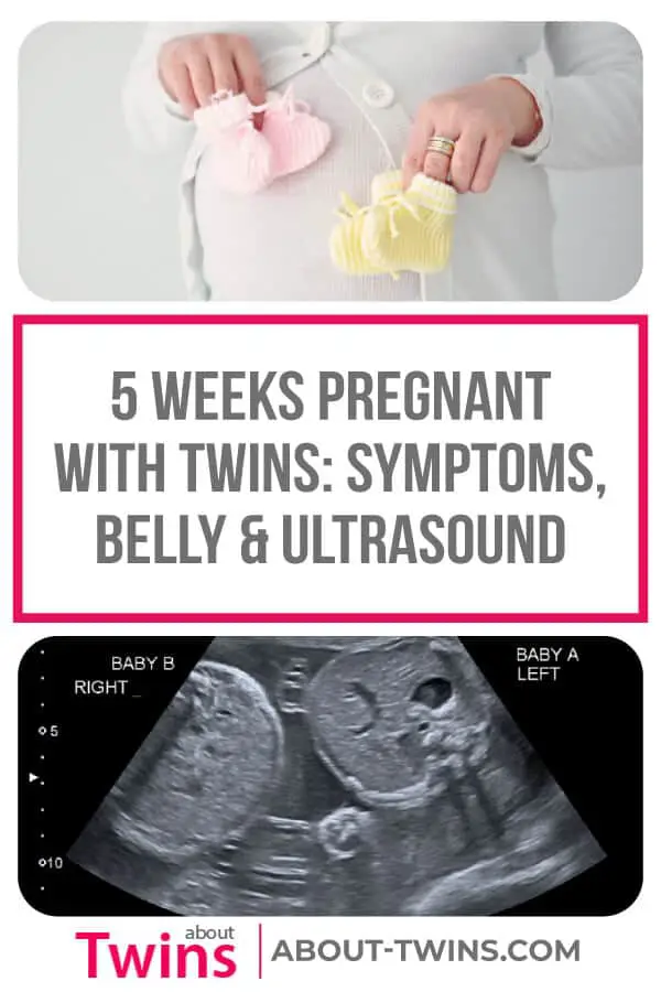 Whether you just found out you are pregnant with twins or are curious to whether your symptoms hint towards a twin pregnancy, you will find 5 week twin pregnancy information here. 