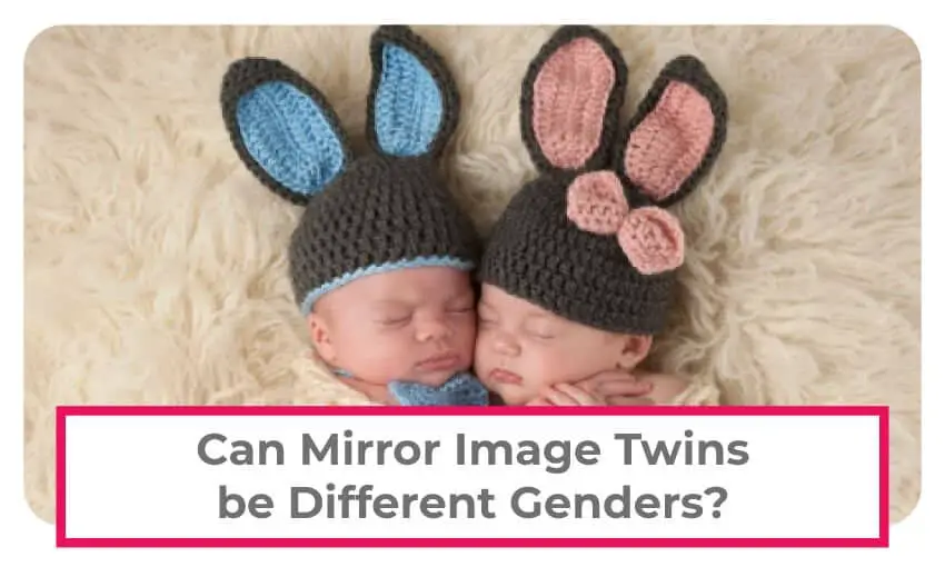 Can mirror image twins be different genders? 