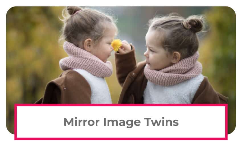 Mirror Image Twins Organs